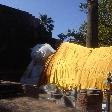 The reclining Buddha of Ayutthaya