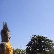 Buddha statues lined around the park