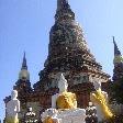 The numerous Buddha statues in Ayutthaya