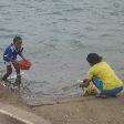 Cleaning the fish in Espargos, Espargos Cape Verde