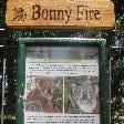 Port Macquarie Australia The yard of Koala Bonny fire