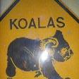 Port Macquarie Australia Koalas road sign in Port Macquarie