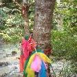 Local tree offerings at the Erawan Falls