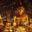 Golden Buddha statues in Chiang Mai