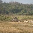 Photos of Rural Thailand