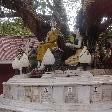 Sri Maha Bodi Tree in Chiang Mai