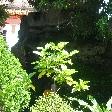 The oldest temple in Vientiane