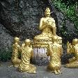 A group of Buddha statues