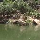 Tunnel Creek Australia Crocodiles on the river beds at Windjana