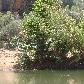 Tunnel Creek Australia The green waters of Windjana Gorge