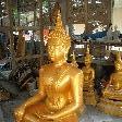 Gold painted Buddha statue