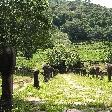 Temple valley of Preah Vihear