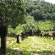 Temple valley of Preah Vihear, Preah Vihear Cambodia