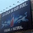 Red Bull campaign in Catania