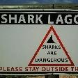 Shark Lagoon, Denham Australia