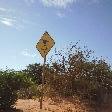 Denham Australia