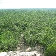 Tulum Mexico