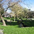 Park in Wellington's Hutt Valley