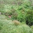 Pictures of Engelbrecht Cave, Mount Gambier Australia