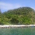 Longtail boats alongside the beach