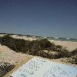Day trip to Shell Beach, Shark Bay Australia