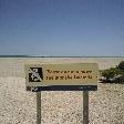 Shark Bay Australia The shells of Shell Beach