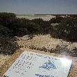 Shark Bay Australia Pictures of Shark Bay landscape