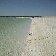 Shark Bay Australia Pictures of Shell Beach in Australia