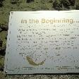 Pictures of the stromatolites in Shark Bay, Shark Bay Australia