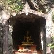 Buddhist altar in the trees