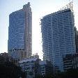 Sudney CBD from the gardens