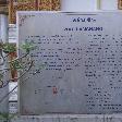 Chiang Mai Thailand History of Wat Lam Chang