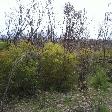 Bush fires on Kangaroo Island