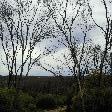 Snake Lagoon after bush fires