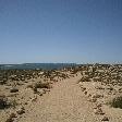 Shark Bay Australia