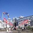 Walking acrross Pyrmont Bridge