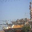 Chinese temples in Thailand