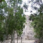 The forest walks around Yucatan, Yucatan Mexico