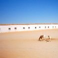 Pictures of Western Algeria