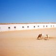 Tindouf Algeria 