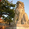 Japanese lion statue