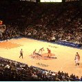 NBA game in New York