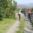 Picking oranges on a cycle tour 