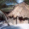 My beach cabin in Tulum, Mexico.