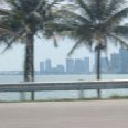 Photo Palm trees in Miami alongside the road. Miami United States