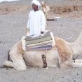 Camel ride tour in the Egyptian desert., Marsa Alam Egypt