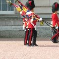 Change of the Guard, London.