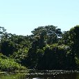 Photos of the Bolivian rainforest.