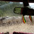 A taxi ride from Rurrenabaque.