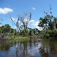 Pampas tour, through the swamps of Bolivia.